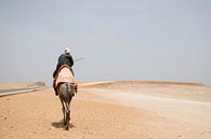 Ägyptischer Mann in traditioneller Kleidung auf einem Kamel in der Wüste bei Gizeh. von Marjolein Hameleers Miniaturansicht