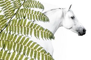 Pferd in Harmonie mit Farnstruktur