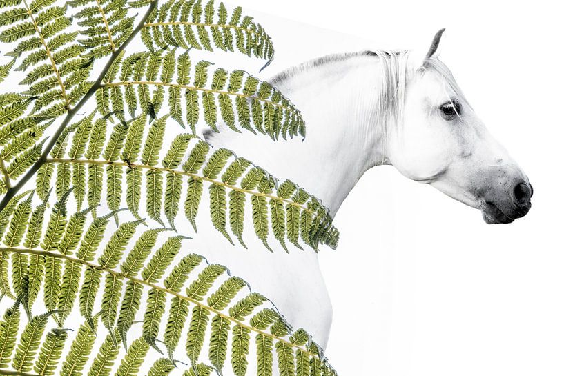 Paard in Harmonie met Varenstructuur van Femke Ketelaar