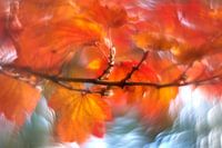 Autumn party