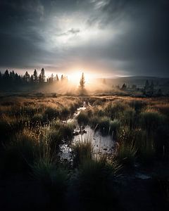 Herbst in Lappland
