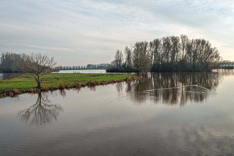 Silhouettes d'arbres nus se reflétant dans l'eau par Ruud Morijn
