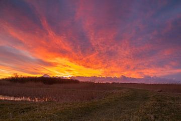 Der Himmel brennt über dem Naturschutzgebiet Kruiszwin in Anna Paulowna von Bram Lubbers