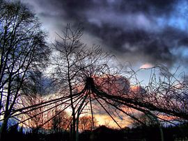 Raunacht sur Ilona Picha-Höberth