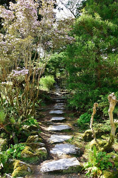 Hidden path by Frank's Awesome Travels