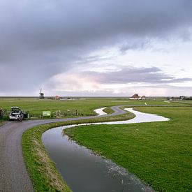 Vogelspotters in de polder van Koen van der Lee