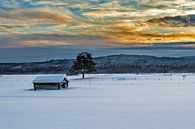 Lapland sky van Michel Kant thumbnail