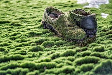 Schoenen met mos - verlaten plaats van Carina Buchspies