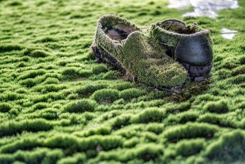 Schoenen met mos - verlaten plaats van Carina Buchspies