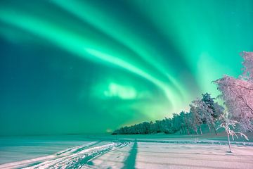 Northern lights over Vuontisjärvi by Kevin van Leeuwen