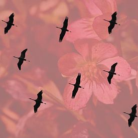 Silhouetten van trekvogels van Matthias Spartz