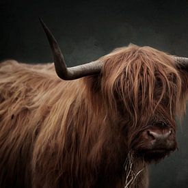 Highlander écossais avec traitement d'art sur KB Design & Photography (Karen Brouwer)