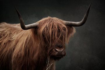 Highlander écossais avec traitement d'art sur KB Design & Photography (Karen Brouwer)