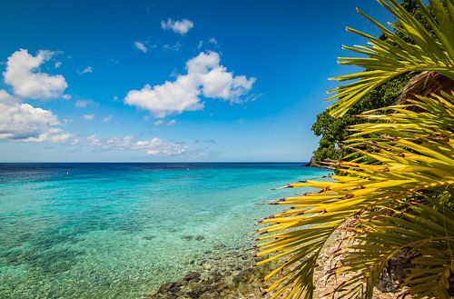 Strand und Palmen auf Curacao