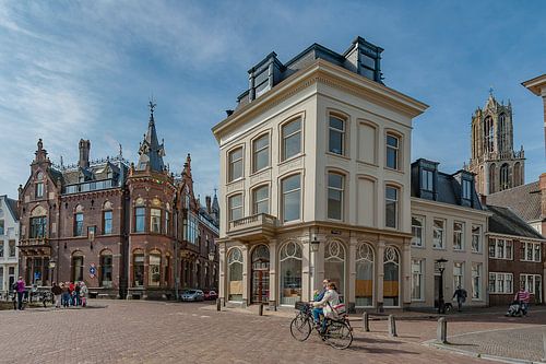 Pausdam Utrecht met zicht op Domtoren