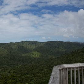 Waitakere Ranges Panorama van Bart van Wijk Grobben