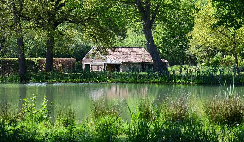 Holsbeek, Belgien - I von Jarne Buttiens