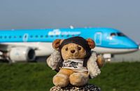Ours pilote avec un avion de croisière à l'aéroport de Schiphol