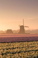 Mill in the morning mist