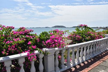 La promenade au bord de la mer