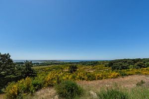 Île de Hiddensee