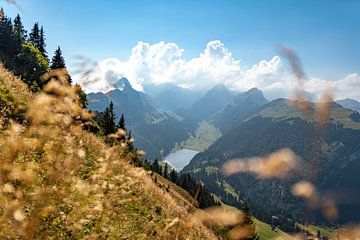 Seealpsee in de Appenzeller Alpen en het uitzicht op de Säntis van Leo Schindzielorz