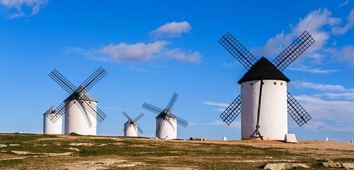 Vieux moulins Campo de Criptana