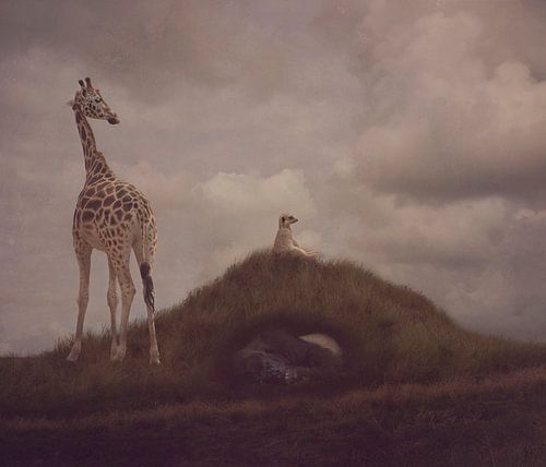 Wake me up when it's all over