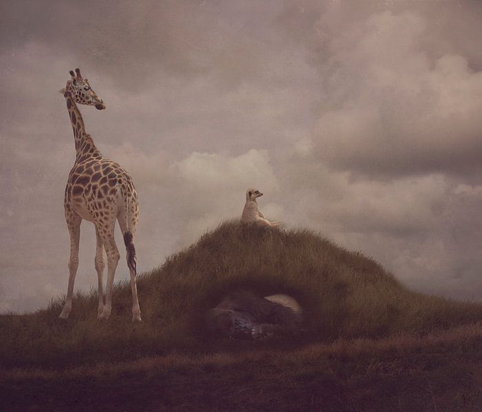 Wake me up when it's all over by mirka koot