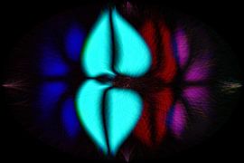 Et cor musculus von Photoart-Naegele