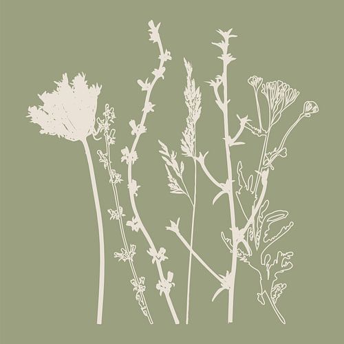 Meadow Botanical art in Sage Green en Beige nr. 2