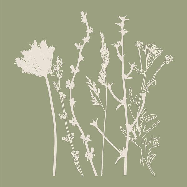 Meadow Botanical art in Sage Green en Beige nr. 2 van Dina Dankers
