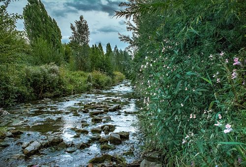 De rivier de Emscher herbrondt in Dortmund Huckarde
