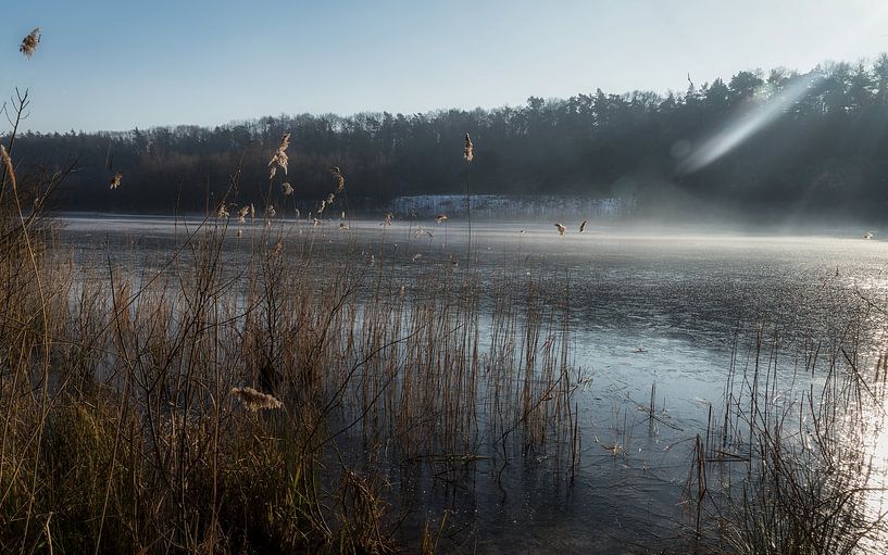 Avec un peu de glace sur le lac de la forêt par Mart Houtman
