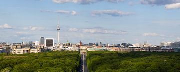 Centrum Berlijn - Skyline met Fernseturm en Brandenburger Tor