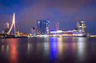 Rotterdam Koningsdag van Pieter van Dieren (pidi.photo) thumbnail