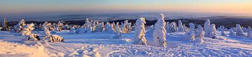 Panorama van de besneeuwde Brocken-top van Karina Baumgart