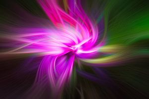 Bloemenabstract