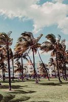 Miami Florida