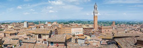 Uitzicht over Siena 3