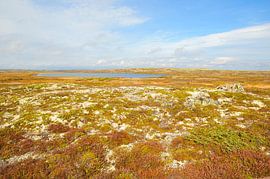 Fulufjellet National Park by Karin Jähne