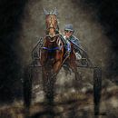 Short course horse race horse and rider by Frank van der Leer thumbnail