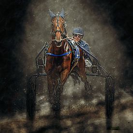 Short course horse race horse and rider by Frank van der Leer