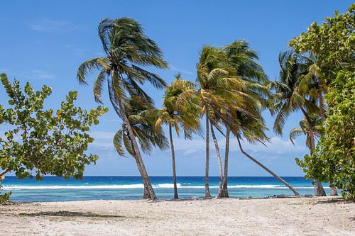 Idyllisch strandbeeld in Cuba