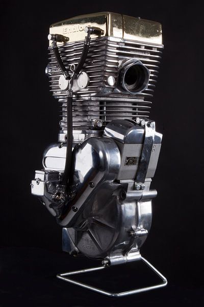 Harley-Davidson motorblok par Michelle Peeters