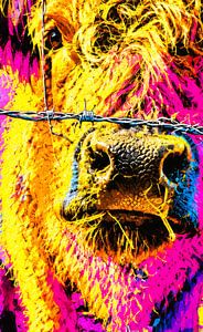 “Hey cow, you’re getting your close-up.”