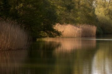 Water landschap van Marcha Bos Fotografie