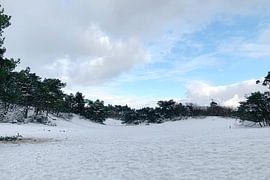 Forest and dunes in winter with snow by Edith Wijte