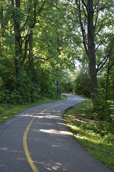 La piste cyclable en été par Claude Laprise