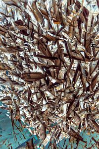 Vervlochten Vissen: Abstracte Waterdans
